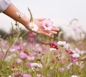 전국 9월 축제 행사 일정