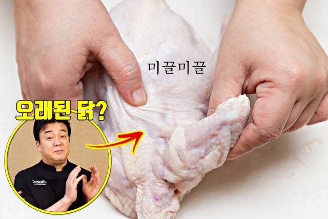 상한 닭고기 구별 상한닭냄새