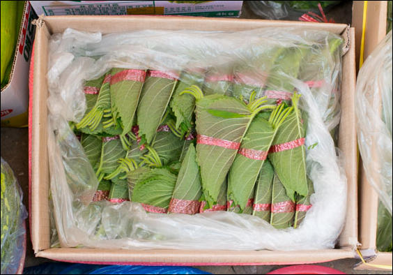 깻잎이 담겨있는 종이박스 하나가 보인다.