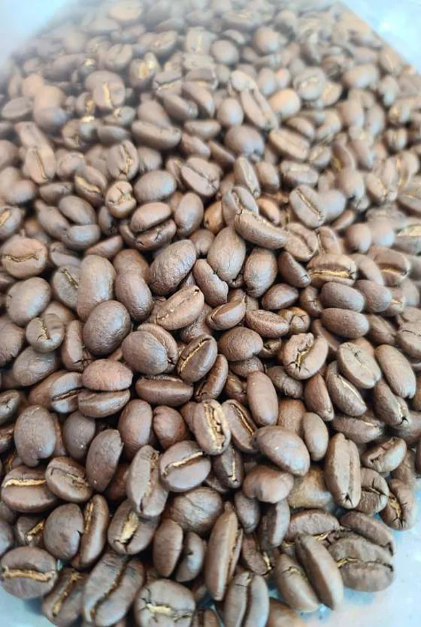 씨즈커피코리아바리스타학원