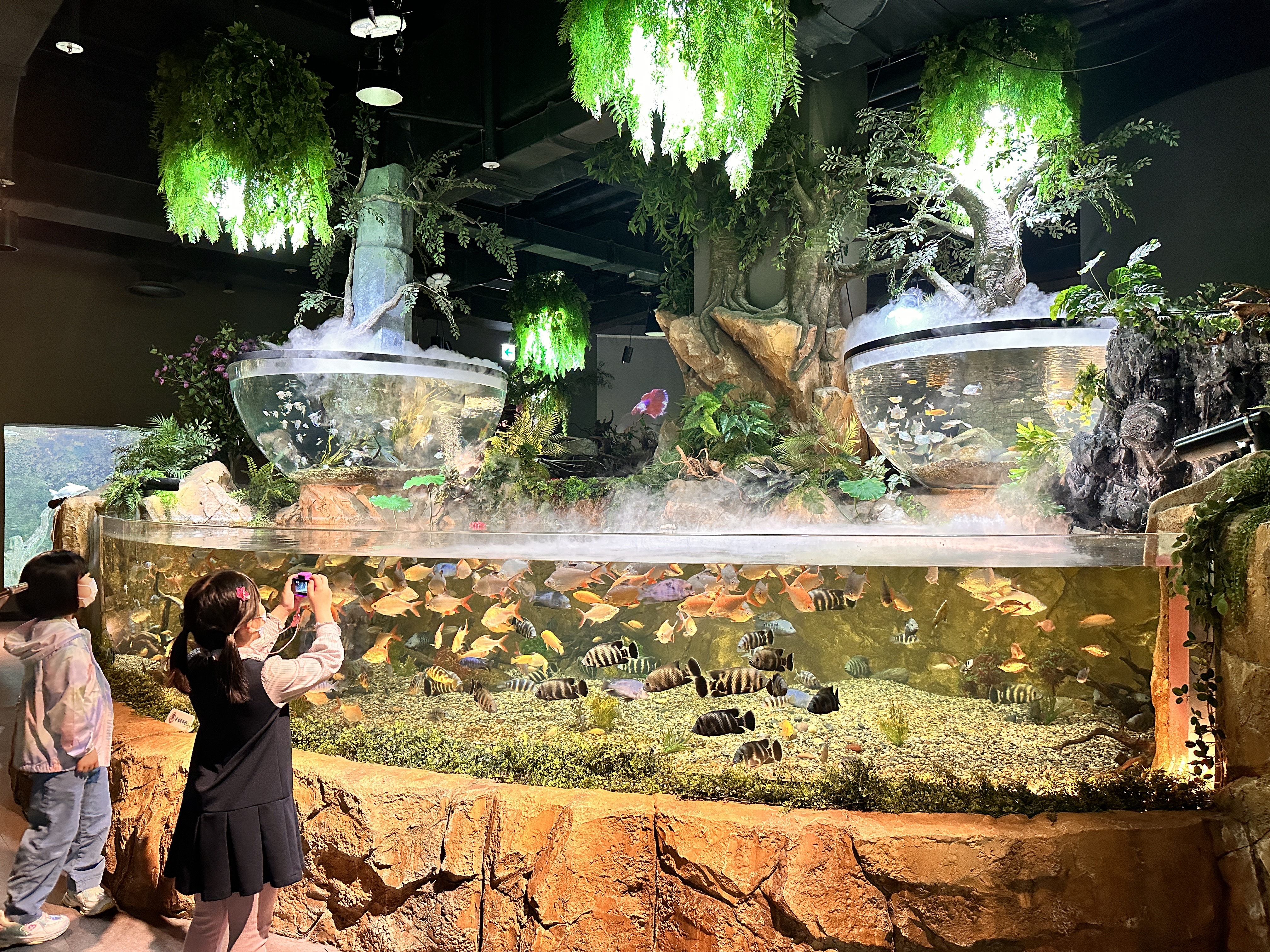 대전 엑스포 아쿠아리움
