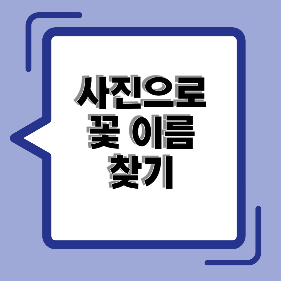 사진으로 꽃 이름 찾는 방법