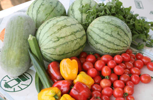 라이코펜 많은 음식 사진