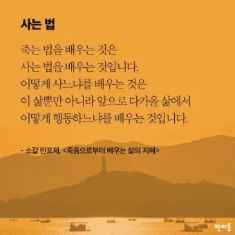 삶의 지혜 짧은 문장 손주 교육 대화 공감 가족과 나누기 좋은 표현_24