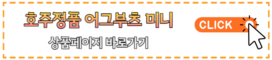 어그부츠 미니 UGG 호주정품 털신발 추천