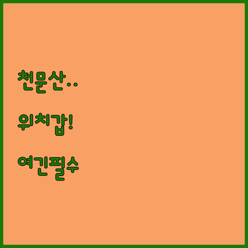 장자제 천문산 갈 때 여기 안 가면 ..