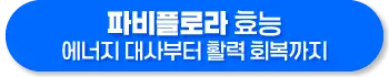 흑생강 파비플로라 효능