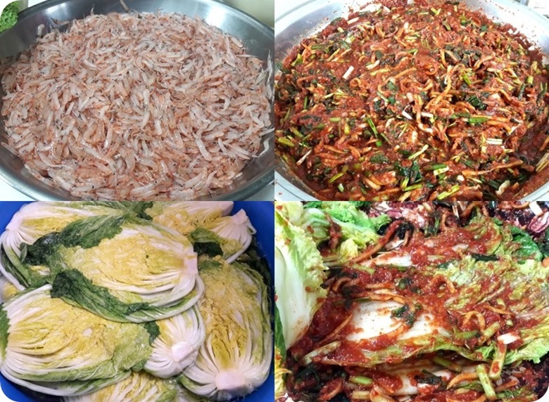 김장김치를 담그때 사용되는 재료들로 새우젓, 각종야채와 양념이 들어간 양념장, 소금에 절인 배추와 배추 속에 양념장을 바른 사진