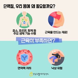 헬스 단백질