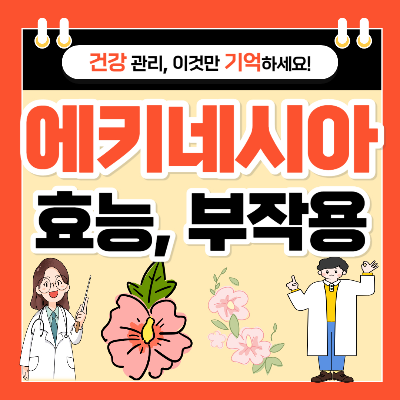 에키네시아