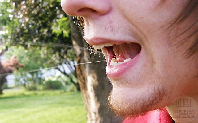 상위1프로 개인기 침샘, 세상에 이런일이, 호기심 팁줌 매일꿀정보