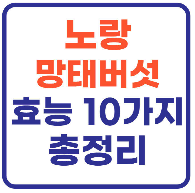 노랑 망태버섯 효능 10가지