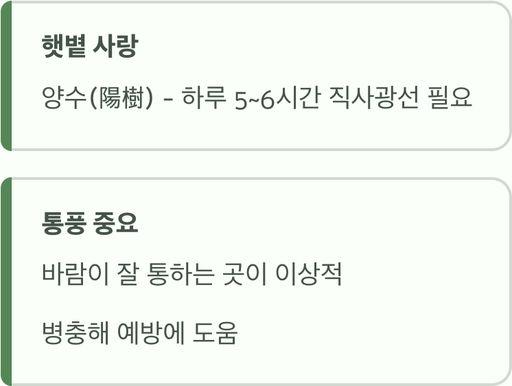 최고의 명당, '햇볕'과 '바람'
