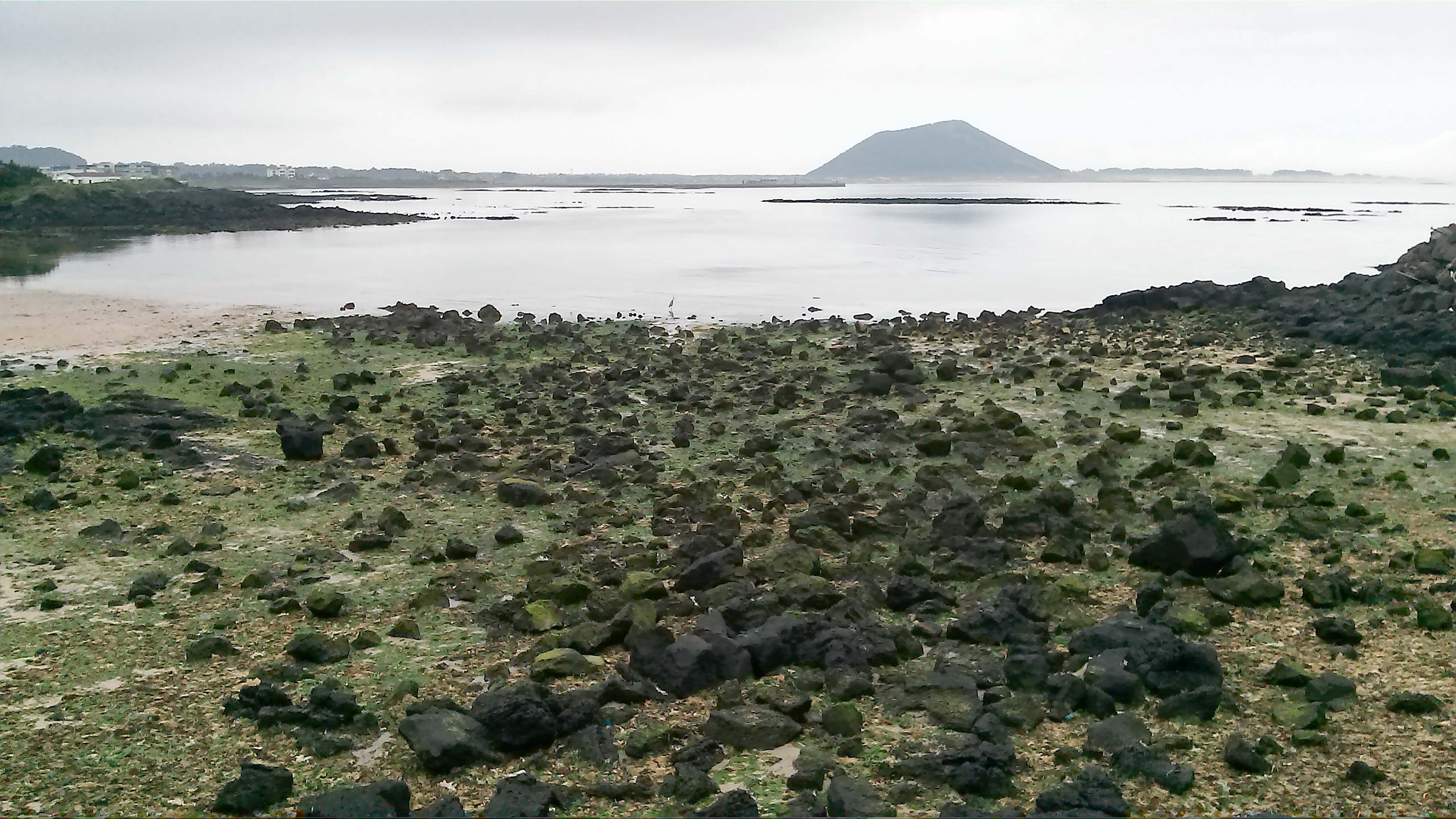 제주 성산리 오조리 종달리