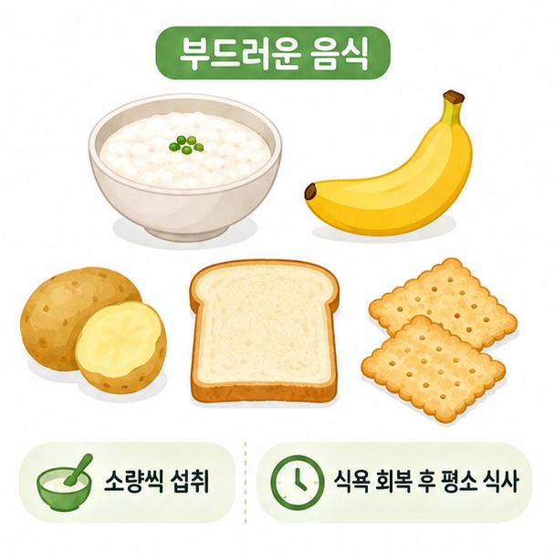 쌀죽과 바나나, 감자, 담백한 토스트처럼 설사 중 먹기 편한 음식의 예를 보여주는 그림