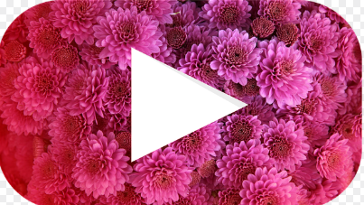 유튜브 동영상 다운로드 하는 방법 정리