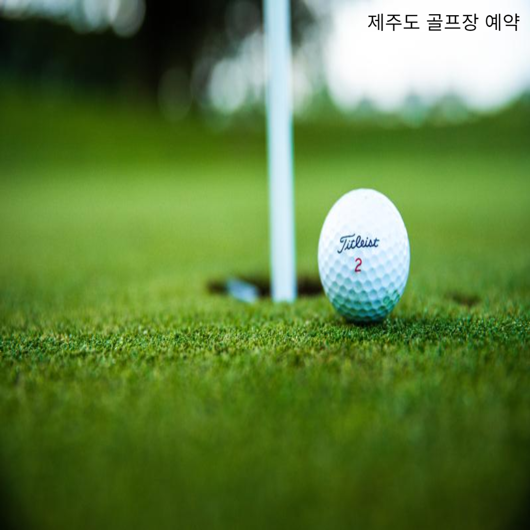 홀 앞에 놓인 골프공