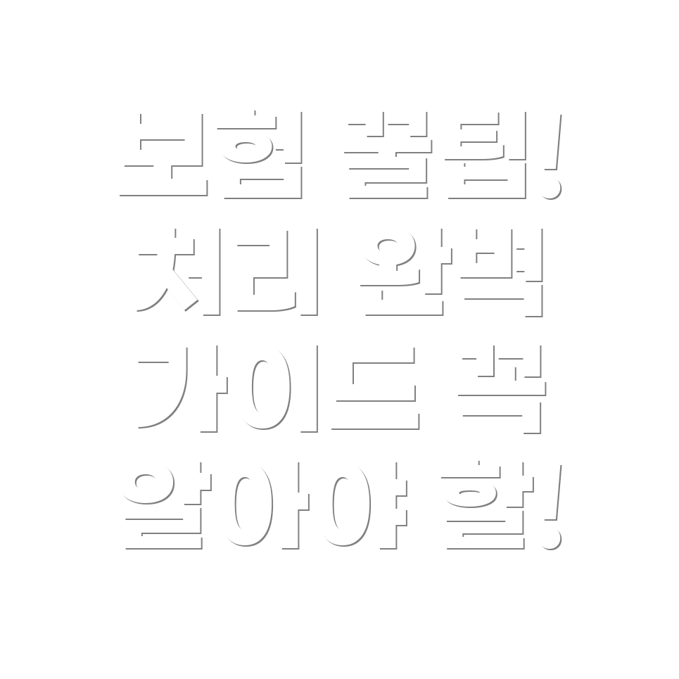 자동차 보험 처리