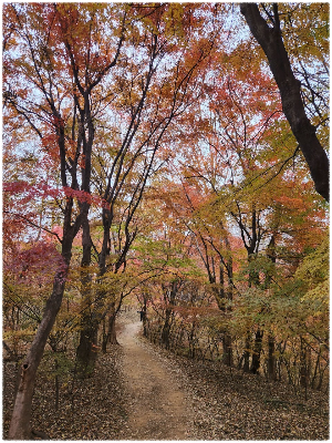 건지산