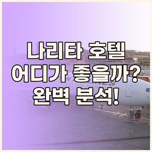 나리타 호텔, 어디로 가야 할까? 완