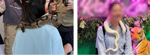 관람객도 안전하지 않다