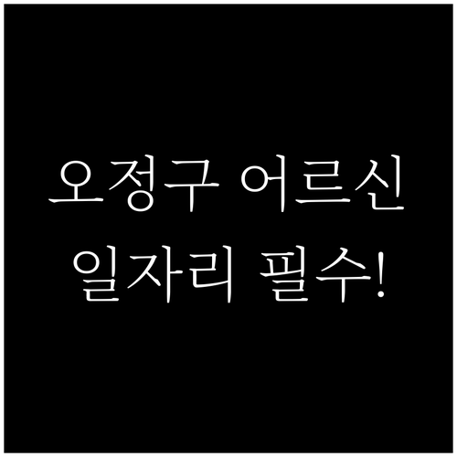 부천 오정구 지역 어르신 맞춤형 일자..