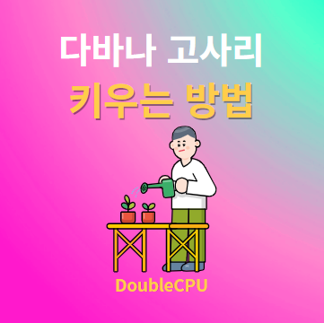 다바나 고사리 키우기 물주기