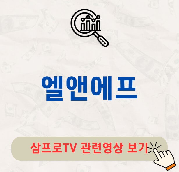 엘앤에프 주가 배당금 지급일