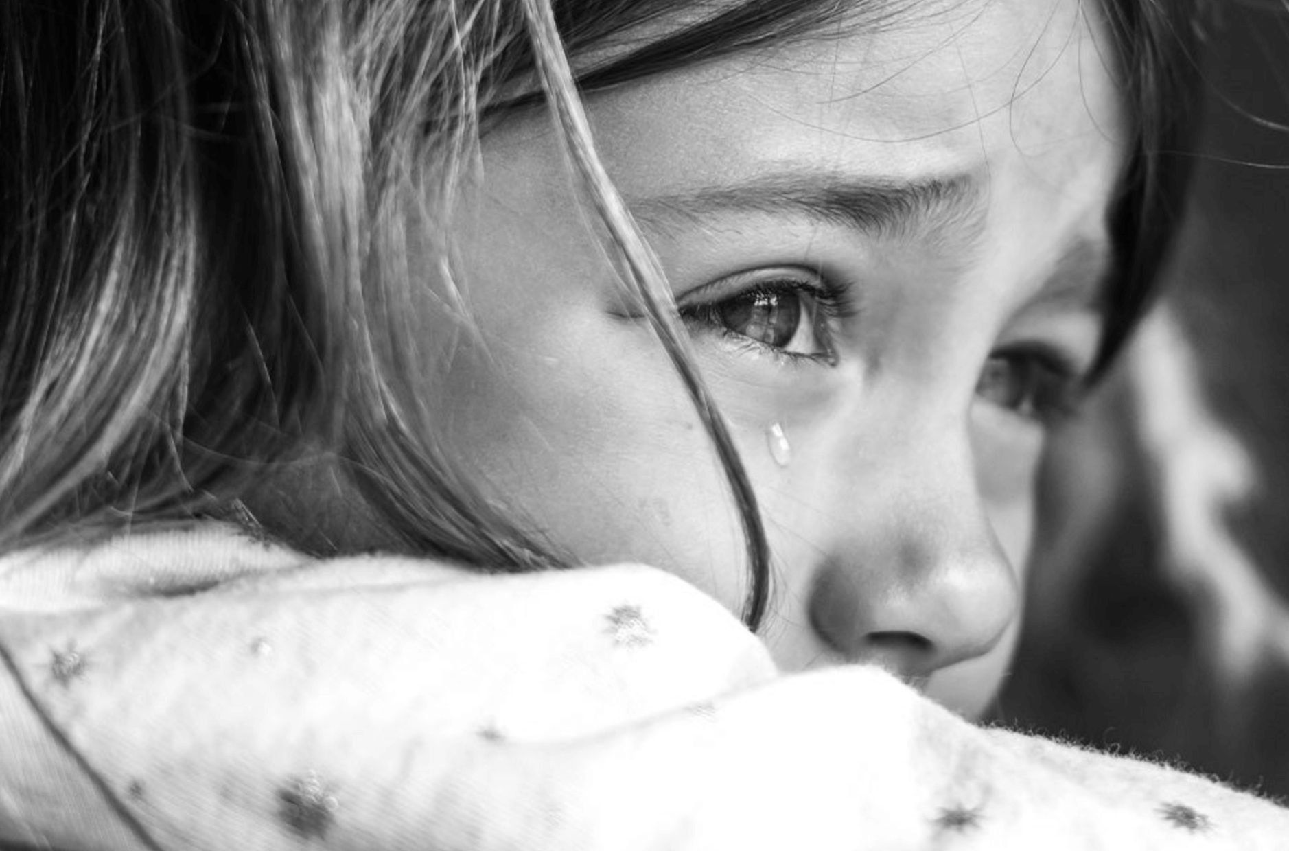 티스토리 다음 통누락