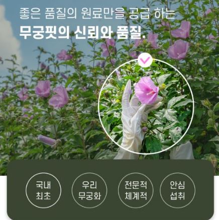 무궁핏-가격