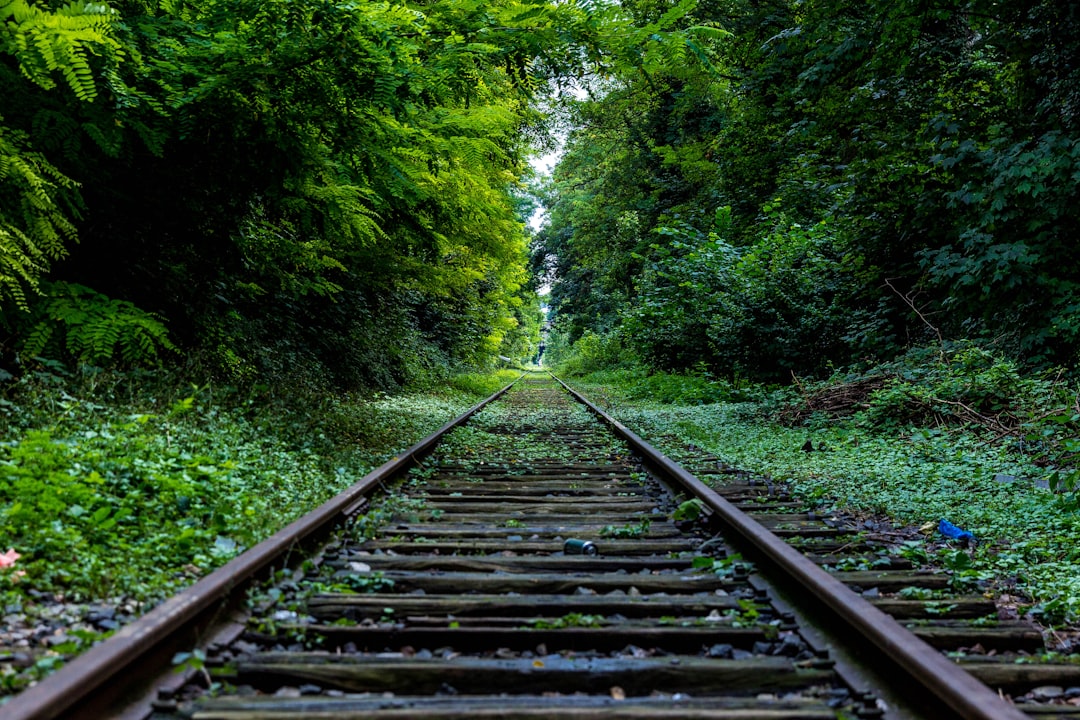 Train