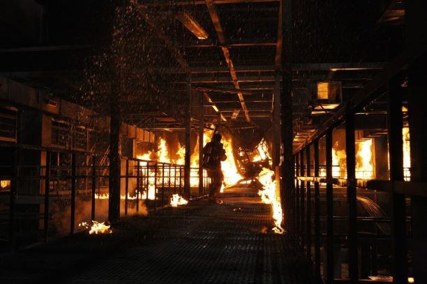 타워 네이버영화