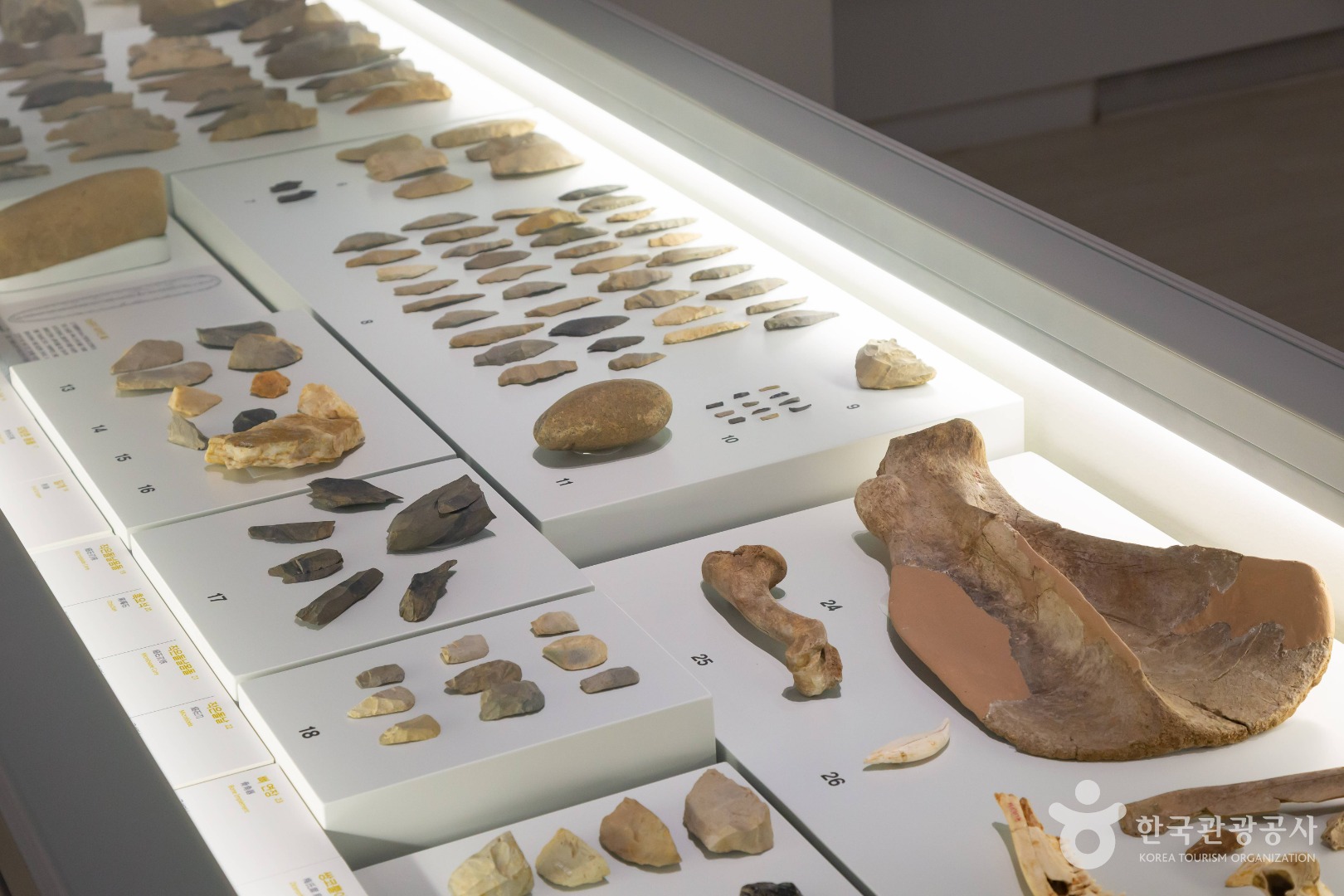 국립청주박물관