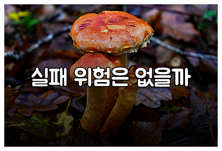 실패 위험은 없을까