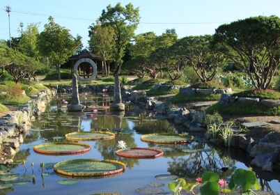 세미원 입장료 및 근처 맛집