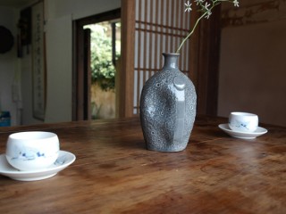 서산 유기방가옥 수선화축제 개화 상황