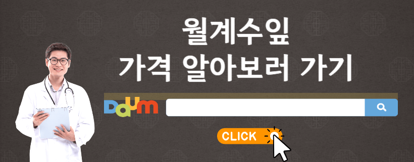 월계수잎효능