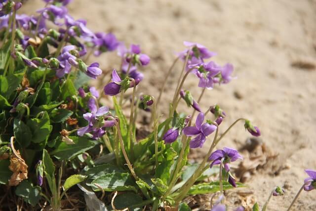 &ldquo;인생샷+시원한 물놀이 다 되는 여름 핫플 5곳! 인스타 감성 여행지 모음&rdquo;