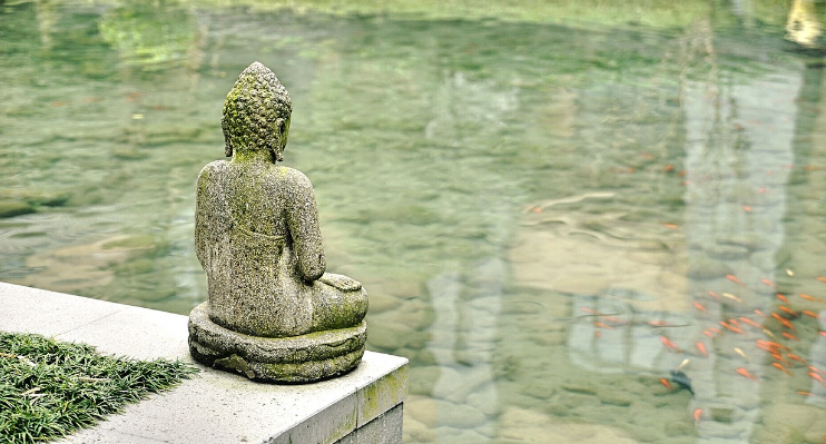 꿈