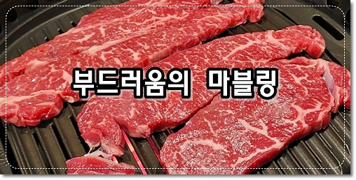 소고기