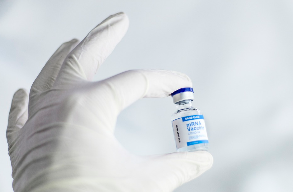 코로나 의심 증상과 코로나 확진 판정 시 치료법, 최근 코로나 현황과 대응법 정보