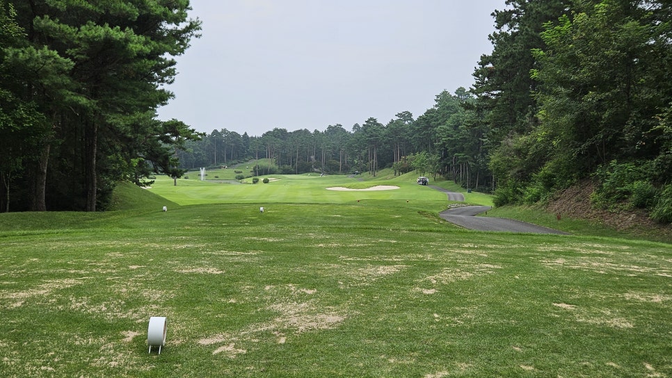 골프장 경험담 여주 세라지오CC 자연 속에서 즐기는 프리미엄 퍼블릭 골프장의 품격