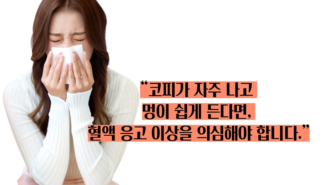 간경화 초기증상