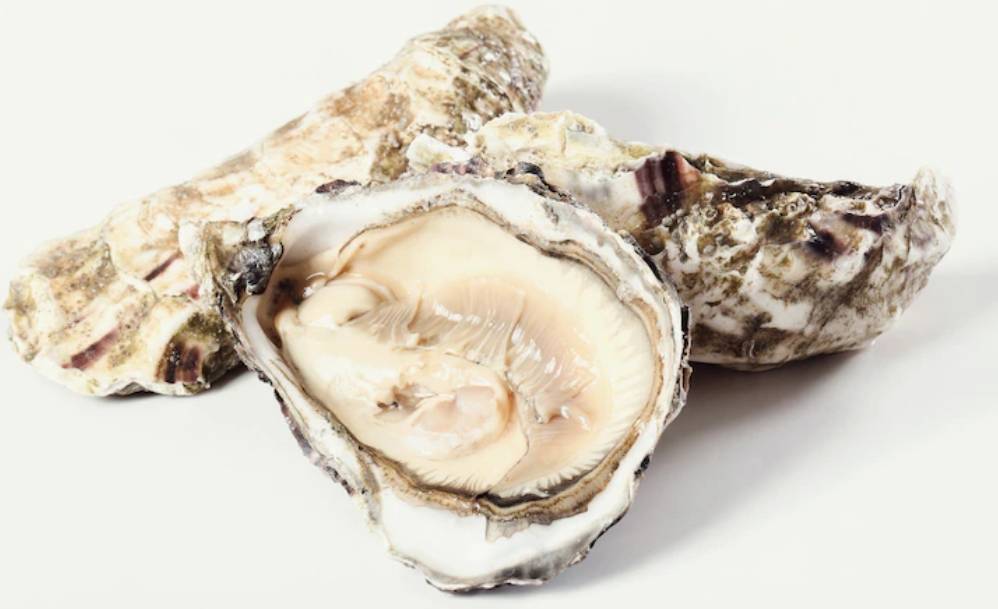 세개의 굴이 놓여있다.