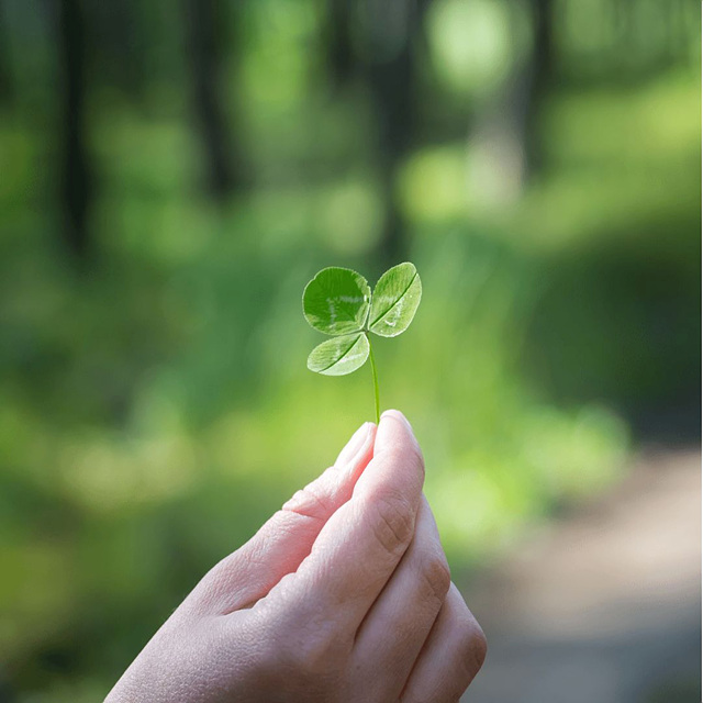 2026 호랑이띠 신년운세 무료보기