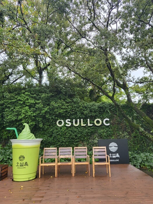 제주 오설록&#44; 포토존