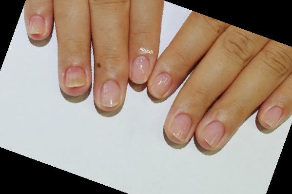 손톱 바디 기르기