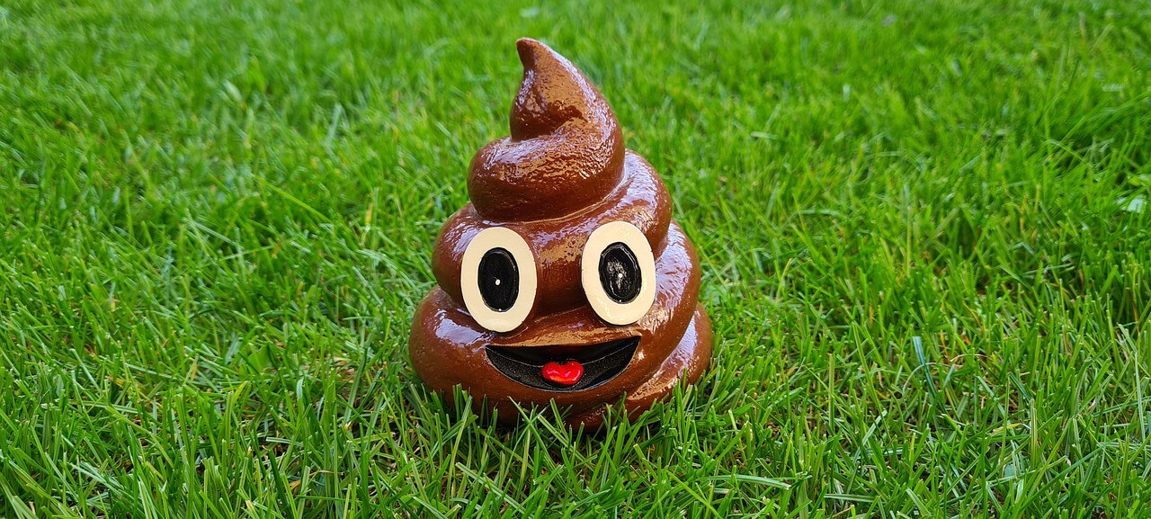 바지에 똥 싸는 꿈