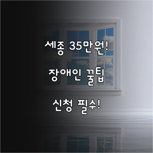 2025 세종 장애인 평생교육이용권 ..