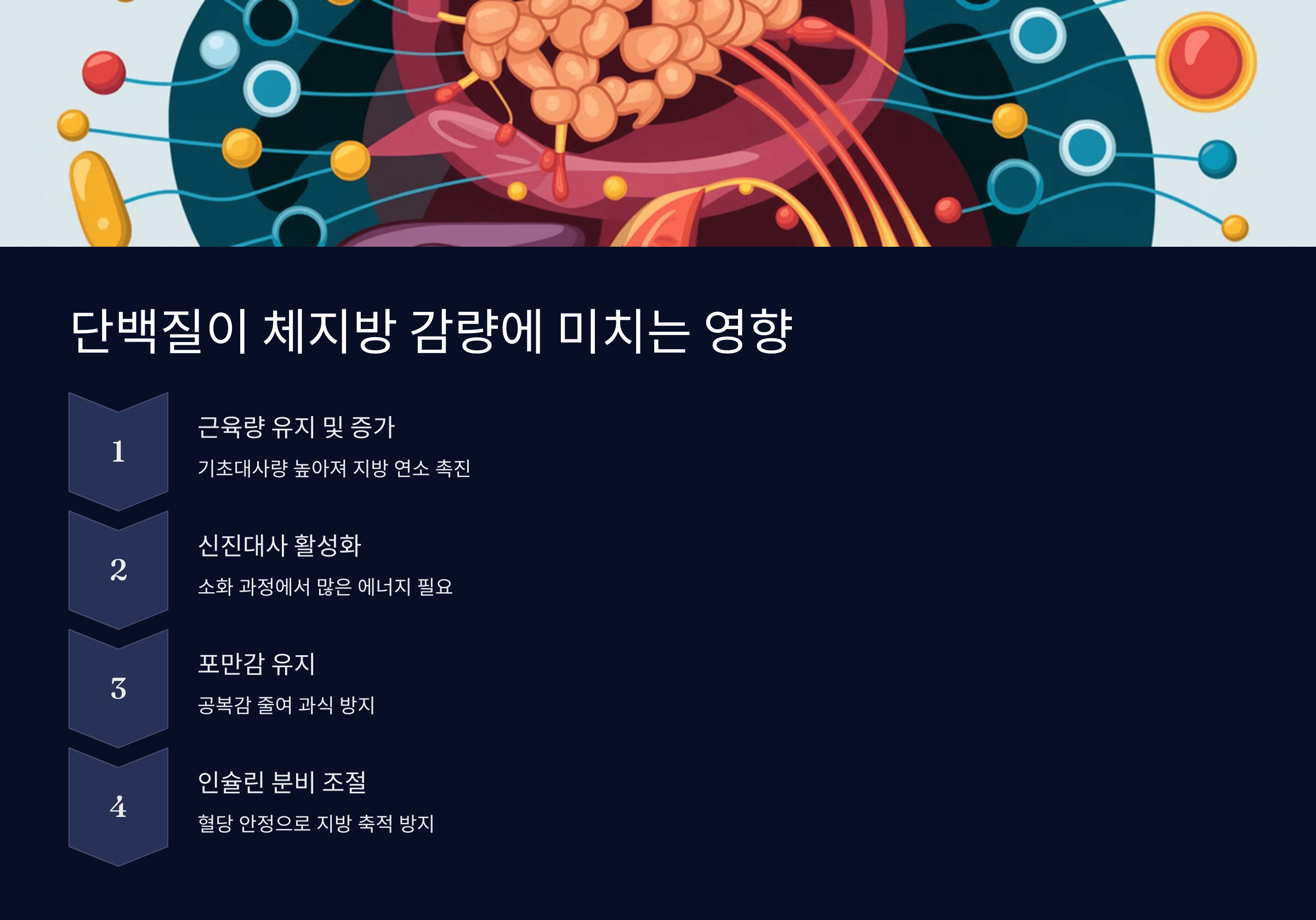 체지방에 미치는 영향